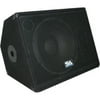 Seismic Audio Pro Audio SA-15M.3 2-way Floor Standing, Pole Mount Speaker, 250 W RMS, Black