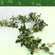 thumbnail image 2 of Colgando Planta Artificial Navidad Huevo Pino Rama Corona - Verde Artificial Invierno Huevo Decoración Coronas de Navidad Artificiales, 2 of 7