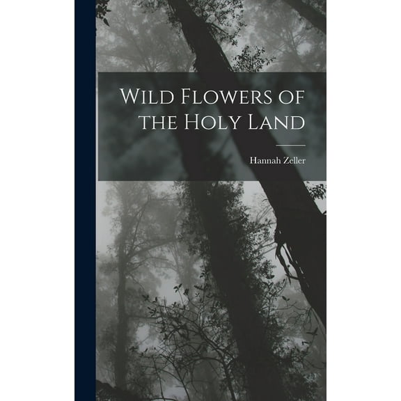 Wild Flowers of the Holy Land, (Hardcover)