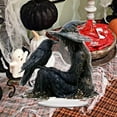 thumbnail image 5 of Halloween Witch and Crow Ornaments - Black Acrylic Inspirational Desktop Decor Gothic Witch and Crow Halloween Holiday Tabletop Decoration for Office & Home Festive Display, 5 of 6