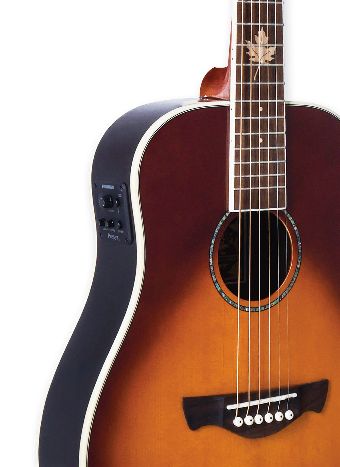 Tagima FERNIE EQ-CB Acoustic Guitar - Cherry Burst