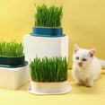 thumbnail image 4 of Cat Grass Growing Kit with Planter Box â Easy-to-Grow Wheatgrass & Catnip for Indoor Cats â Hydroponic Soilless Tray for Healthy Pet Grass, 4 of 8
