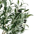 thumbnail image 2 of Vickerman 72" Artificial Green Olive Tree in Black Planters Pot., 2 of 6