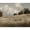 Beige;Green, variant on Stupell Industries Rustic Lodge White Barn Distressed Landscape Canvas Art, 20 x 16, by Britt Hallowell