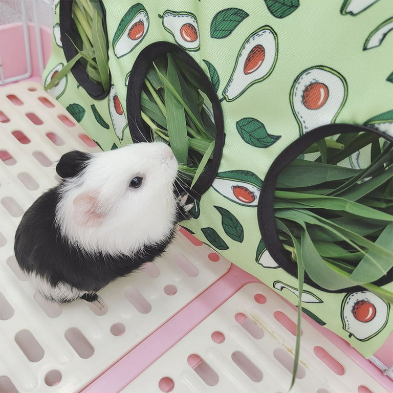 Guinea pig avocado cheap