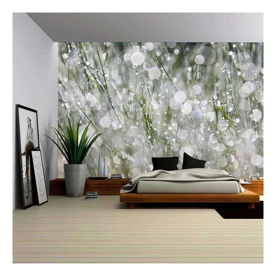 removable wall murals