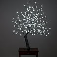 thumbnail image 4 of FLORAL LIGHTS- OUTDOOR CHERRY BLOSSOM TREE 200WT LED(HI-LINE EXCLUSIVE), 4 of 4