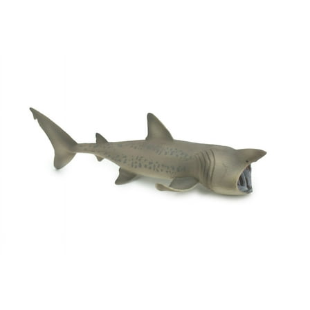 Basking Shark, Museum Quality, Hand Painted, Realistic, Rubber Fish, Figure, Model, Toy, Kids, Educational, Gift, 8 1/2" CH670 BB170