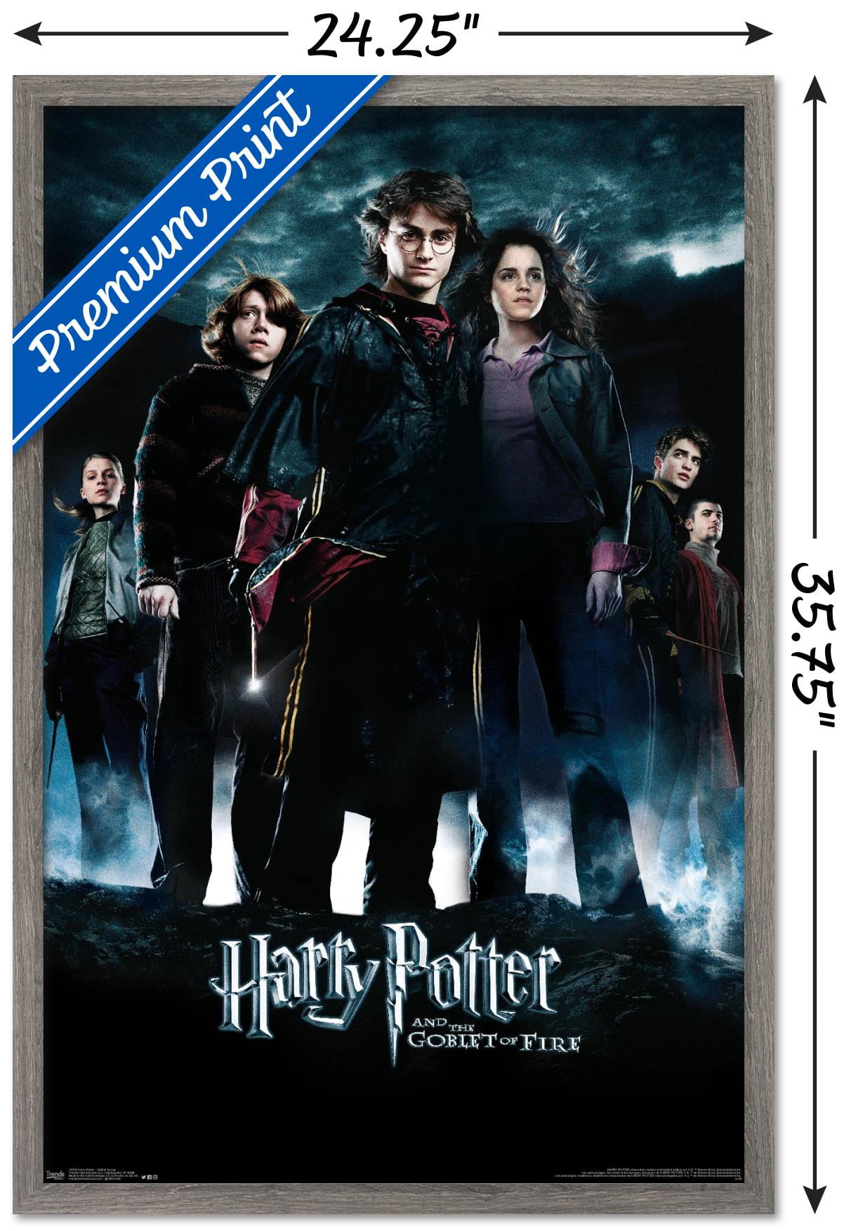Harry Potter and the Goblet of Fire - Group One Sheet Wall Poster, 22.375" x 34", Framed