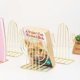 thumbnail image 4 of Bookends Metal Book Ends Heavy Duty Modern Decorative Cactus Bookend Bookshelf Decor for Home Bedroom Library Office, 4 of 4