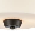 thumbnail image 4 of CN310231-Thomas Lighting-2 Light Flush Mount-Oil Rubbed Bronze Finish, 4 of 4