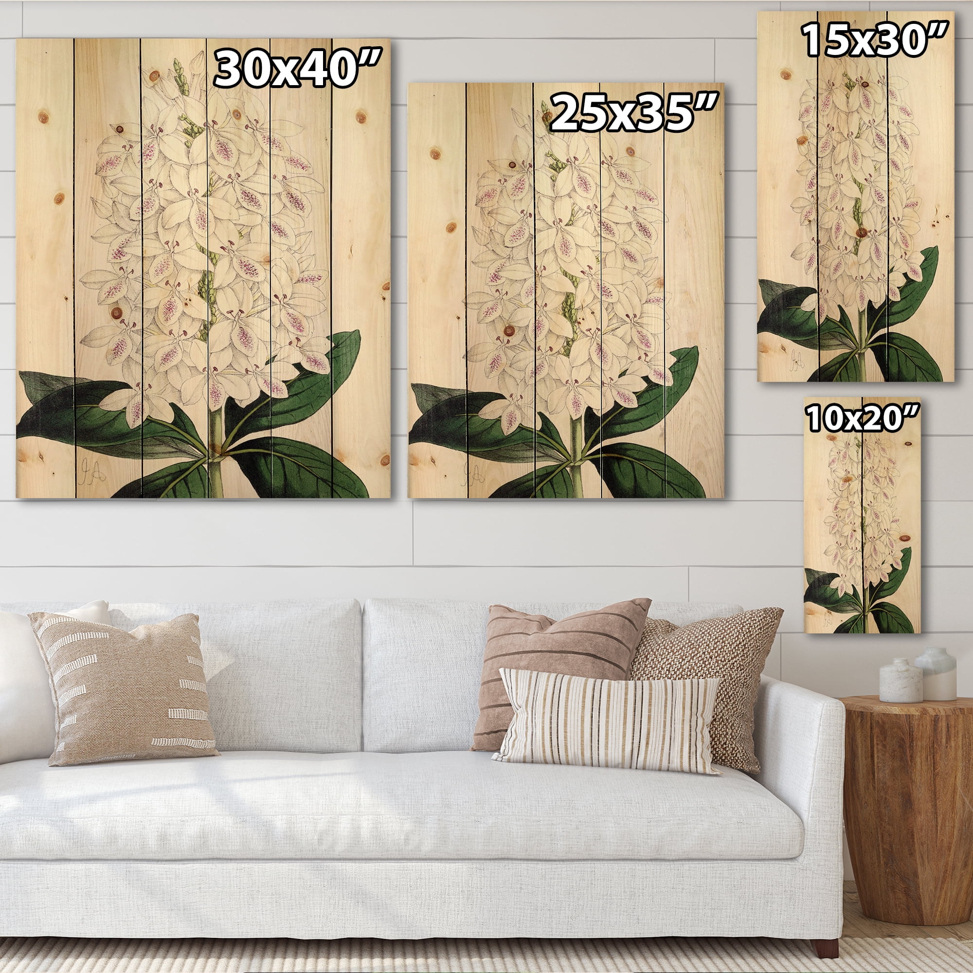 Designart 'Ancient White Orchid III' Traditional Print on Natural Pine Wood