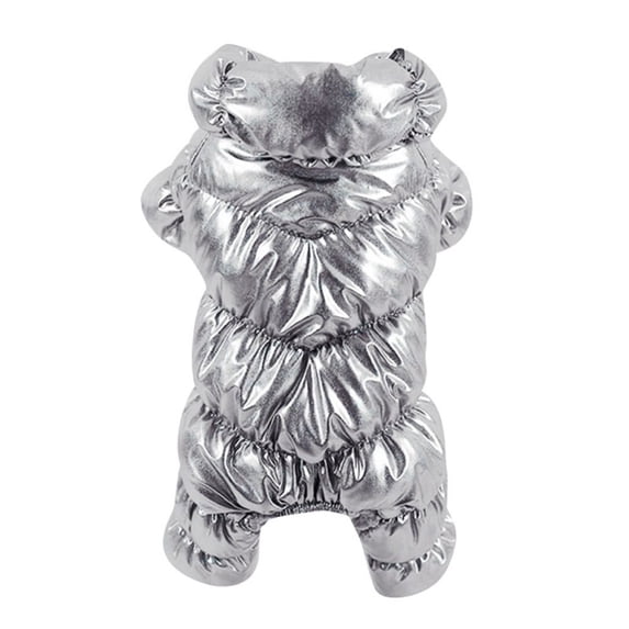 Winter clothes for dogs are stylish to keep warm.