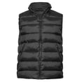 thumbnail image 1 of Tee Jays  Adult Lite Body Warmer, 1 of 2