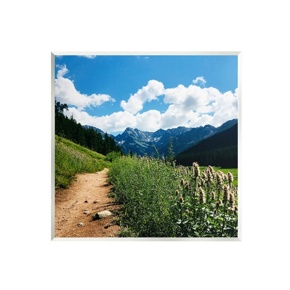 Stupell Industries Mountain Field Nature Path Photograph Unframed Art Print Wall Art, Design by Anna Coppel