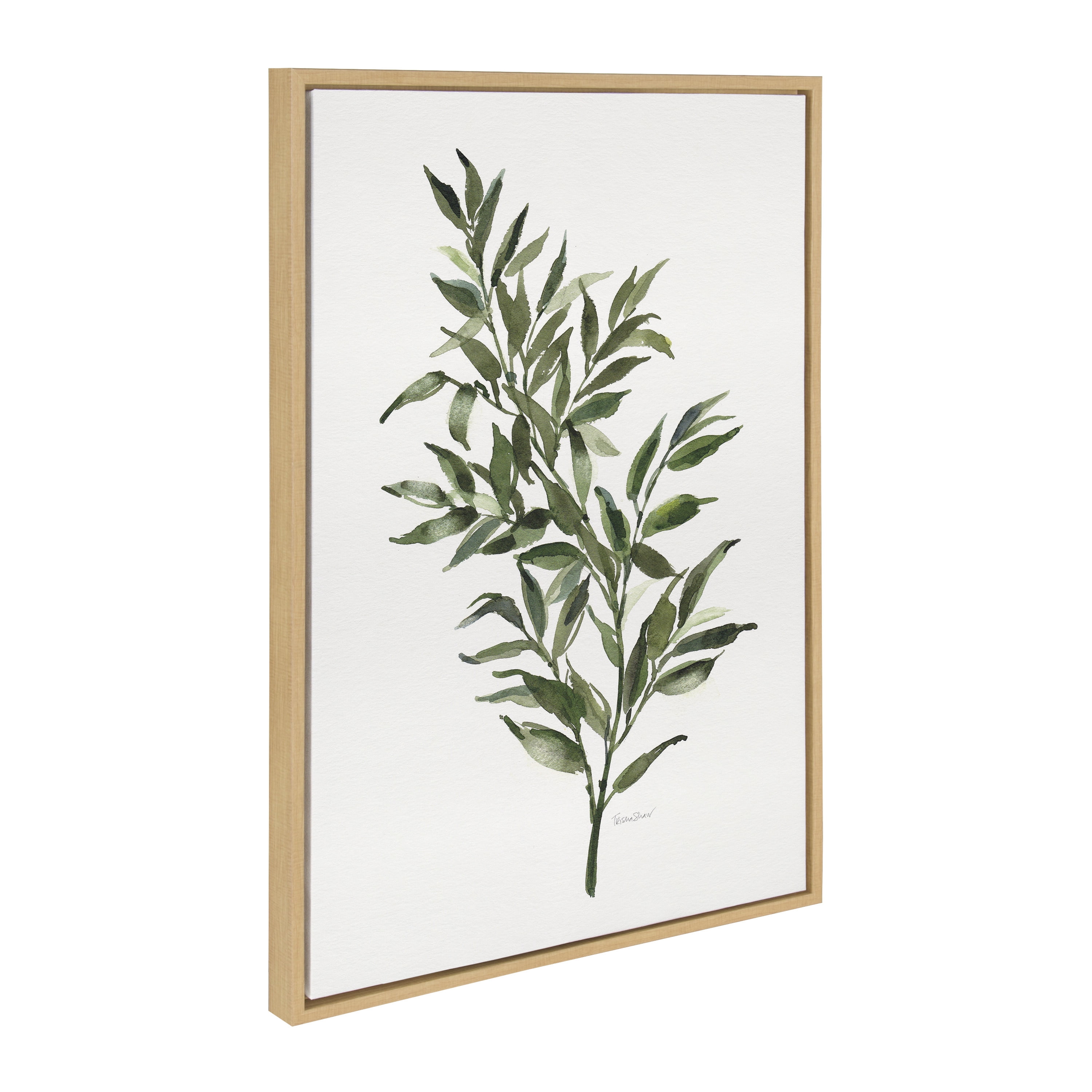 Kate and Laurel Sylvie Ruscus Framed Canvas Wall Art by Patricia Shaw, 23x33 Natural, Botanical Nature Art for Wall