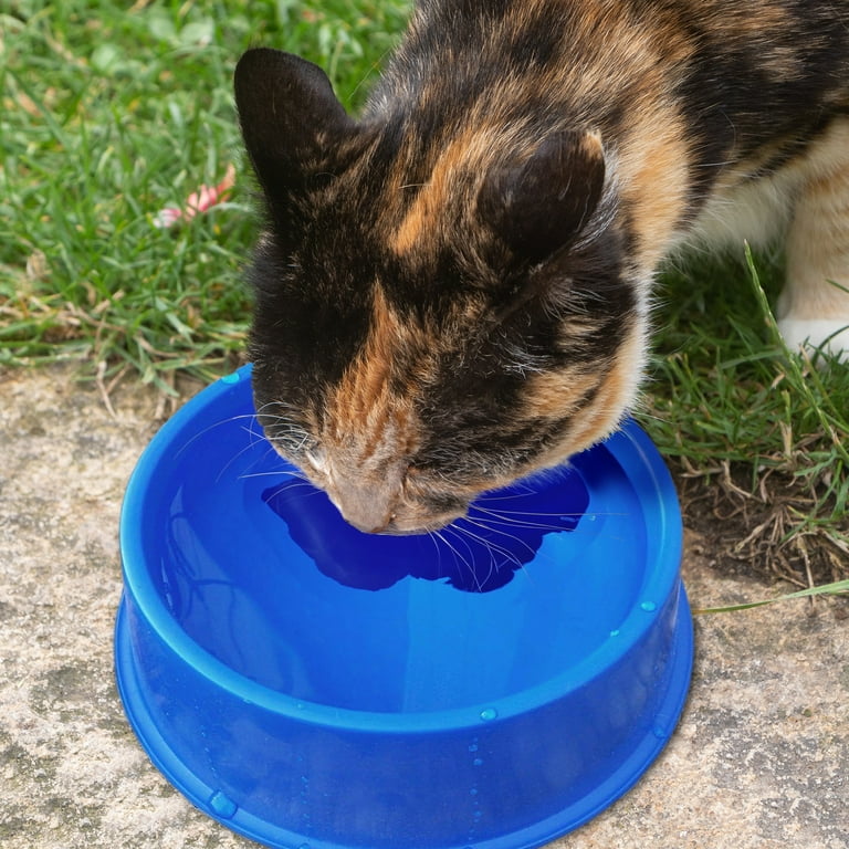 1 Qt Round Heated Pet Bowl