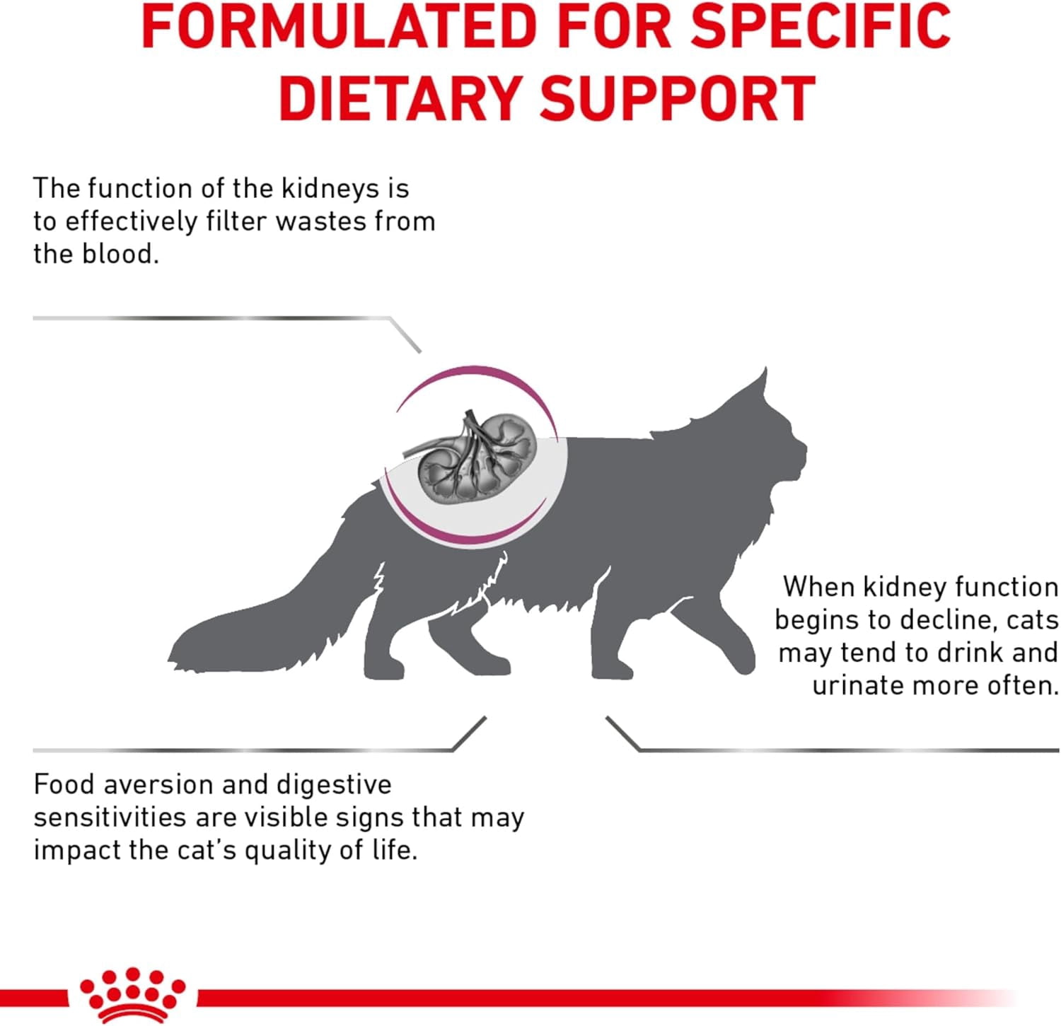 Royal Canin® Feline Renal Support S Dry Cat Food, 3 lb