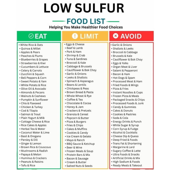 Low Sulfur Food List poster Canvas Wall Art for Decor poster