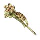 thumbnail image 1 of Pinzas para el cabello Macarena con Diseño de plátano y flores antideslizantes de plástico resistente, 1 of 8