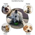 thumbnail image 2 of Juguetes educativos para masticar perros para limpiar dientes de cachorros pequeños y grandes, 2 of 3