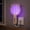 C, variant on 2 in 1 Mosquito Killer Racket, 2500V Portable Electric Fly Swatter with Purple Light, Rechargeable Bug Zapper Indoor for Home, Patio, Backyard, Camping Use