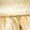 Gold, variant on Girls 2 Piece Metallic Dance Outfits Ballroom Dancewear Shiny Skirt and Top Set for Ballet Silver 16