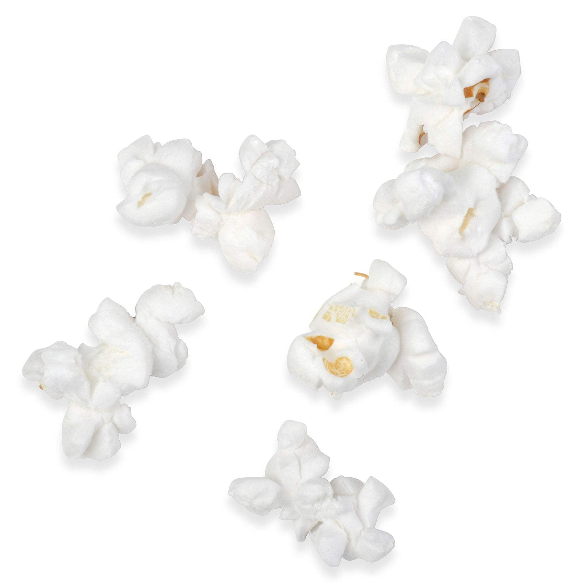 2lb Butterfly Shaped Unpopped White Popcorn Kernels