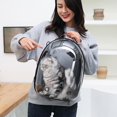 thumbnail image 3 of Pet Carrier Cat Dog Tote Portátil Transpirable Bubble Capsule Bolso para senderismo Perros s Gatos Viajes al aire - Rosado Sunnimix Portador de viaje para mascotas, 3 of 8