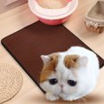 thumbnail image 1 of Zeus Double Layer EVA Waterproof Foldable Cat Kitten Litter Trapper Mat Cushion Pad, 1 of 7