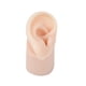 thumbnail image 1 of Modelo de oreja de silicona, modelo de oreja real artificial, textura delicada, entrenamiento flexible. Derecha, 1 of 9