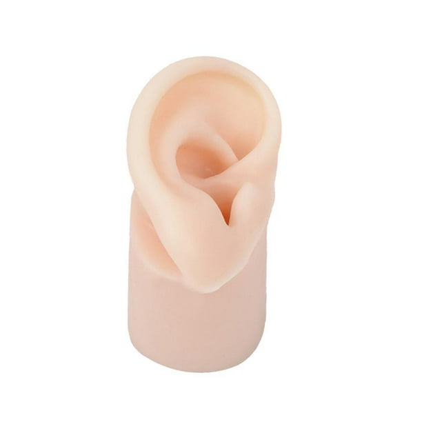 Modelo de oreja de silicona, modelo de oreja real artificial, textura delicada, entrenamiento flexible. Derecha