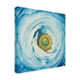thumbnail image 2 of Trademark Fine Art 'White Peony with Blue' Canvas Art by Aledanda, 2 of 4
