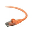 thumbnail image 2 of Belkin A3L980-06-ORG-S 6 ft. Cat 6 Orange UTP RJ45M/RJ45M Snagless  Patch Cable, 2 of 3