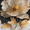 Gold Peony Embossed Texture, variant on UXIEQU Gold Peony Embossed Texture Canvas Wall Art 15.75x11.81 INCHES