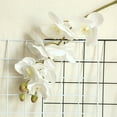 thumbnail image 3 of Limei 1Pc Faux Orchid Plant Natural Realistic Household Products Orchid Artificial Plants Decoration for Stores, 3 of 7