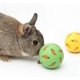 thumbnail image 2 of Treat Ball, Snack Ball For Small Animals (small, Yellow & Green), 2 of 4