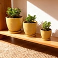 thumbnail image 4 of Flora Bunda CT2038E3-MUSTARD 10',8',6.75' GL MUSTARD Hiero Ceramic Pot on Saucer Set of 3, 4 of 5
