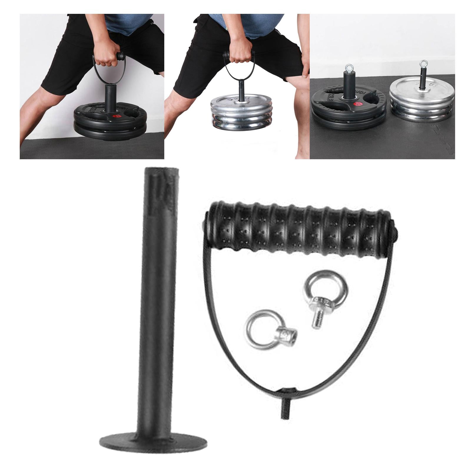 DimyFew Kettlebell Handle Plates Dumbbell Equipment workout and gym Diameter 25mm