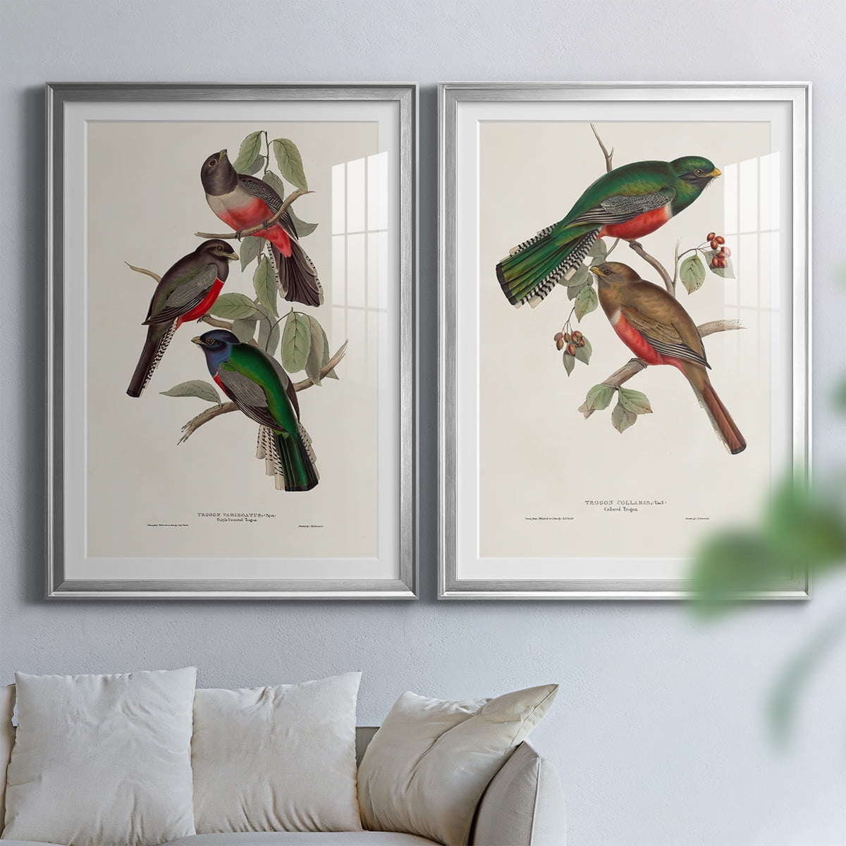 Wexford Home Elegant Trogons V Premium Framed Print, 18.5" x 24.5" - Ready to Hang, Silver (Set of 2)