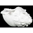 thumbnail image 2 of Ceramic Small Shell White, 2 of 2