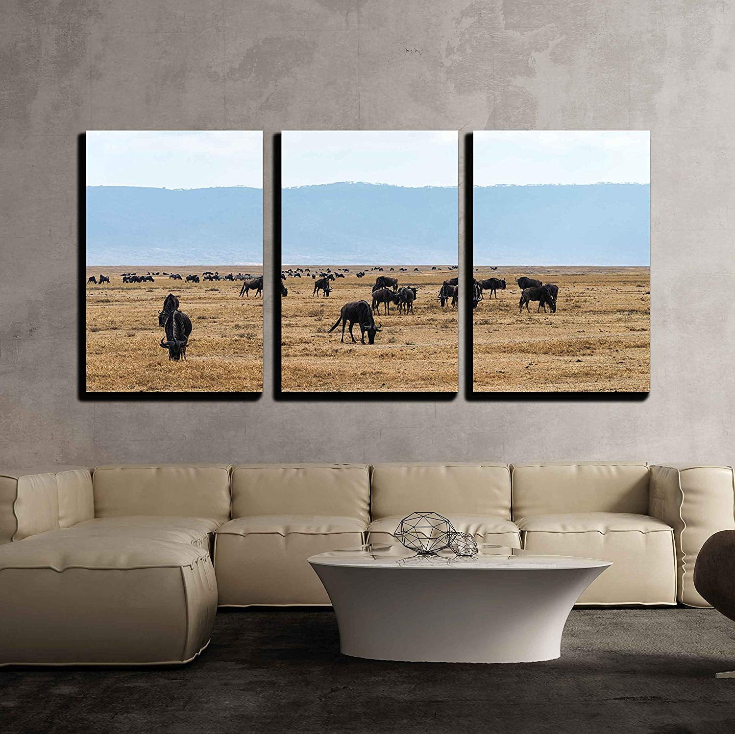 Ready to Han American Buffalo Picture Made on Stretched Canvas Wall Art Décor 