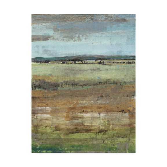 Trademark Fine Art 'Field Layers IV' Canvas Art by Tim OToole
