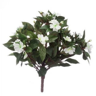 Walmart impatiens shop flats