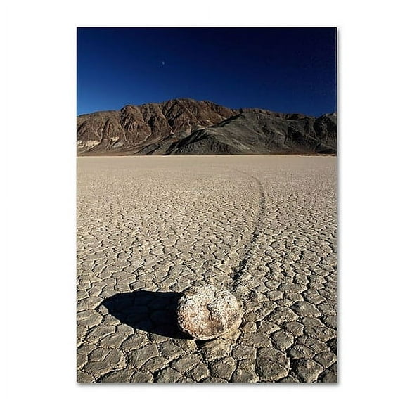 Trademark Fine Art "Race Track" Canvas Art by Pierre Leclerc