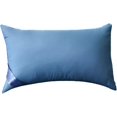 King Size Pillows For Bed, Soft Pillow For Sleeping, Feather Velvet