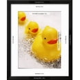thumbnail image 3 of Rubber Ducks in Bath, Framed Art Print Wall Art by John Miller Sold by Art.Com, 3 of 6