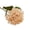 C, variant on Simulated Dried Burnt Embroidered Ballï¼Simulated Dried Flower Hydrangea Flower Green Decoration