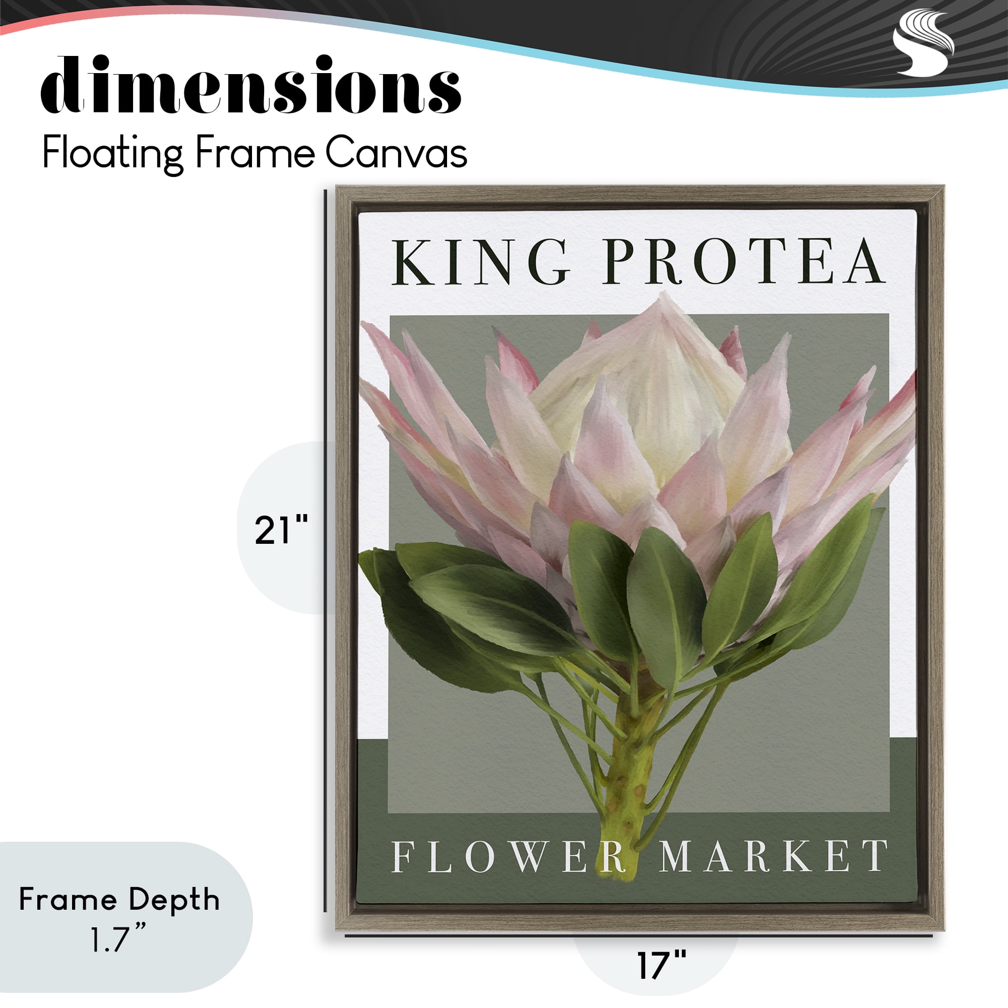 Stupell Industries King Protea Flower Market Brown Framed Floater Canvas Wall Art, design by Jennifer Stith