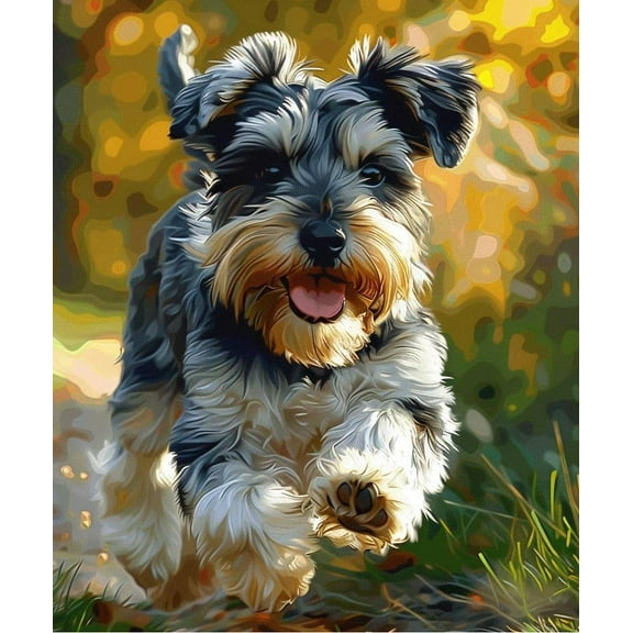 Paint by Numbers Kit for Adults -Running Schnauzer (2)- on Canvas with Brushes Acrylic Pigment DIY Oil Painting for Home Wall Decor (40x50cm/16x20 inch)-